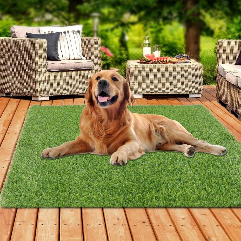 imageXLX TURF Realistic Artificial Grass Rug Indoor Outdoor Patio  3ft x 5ft Thick Fake Grass for Dogs Pet Turf Mat Decor Garden Synthetic Lawn Landscape with Drainage Hole5FT X 5FT 25mm